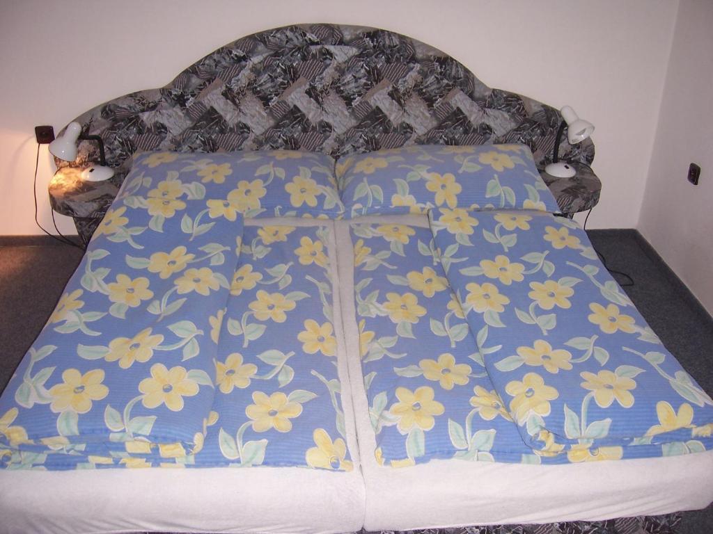 Pension Baron Vrchlabi Room photo